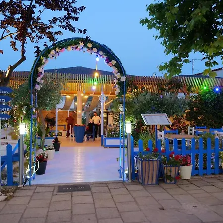 Olive * كساميل