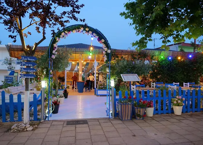 Olive * קסאמיל